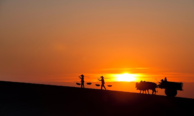Silhueta de personas y carro de toros en el campo durante la puesta de sol