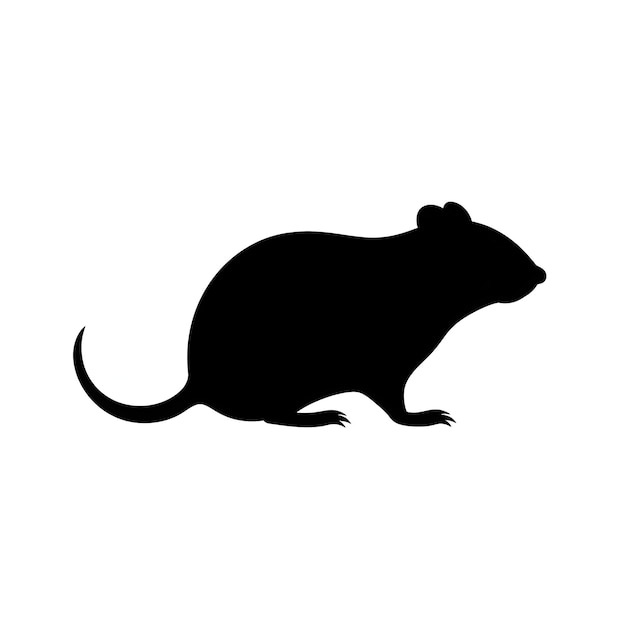 Foto silhueta preta de um rato rato em fundo branco