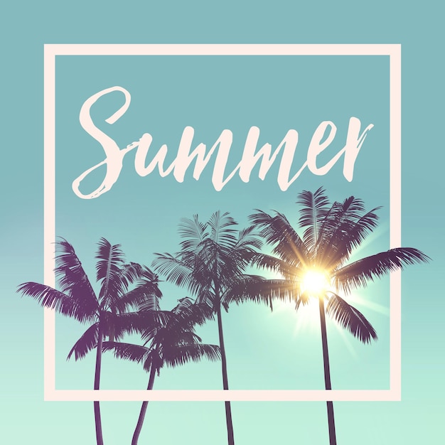 Silhueta tropical da palmeira da mensagem do verão contra a luz solar brilhante com borda branca do quadro