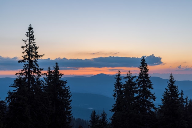 Silhuetas de abetos no vale montanhoso das Montanhas Rhodope no contexto de um céu pôr do sol