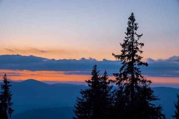 Silhuetas de abetos no vale montanhoso das Montanhas Rhodope no contexto de um céu pôr do sol