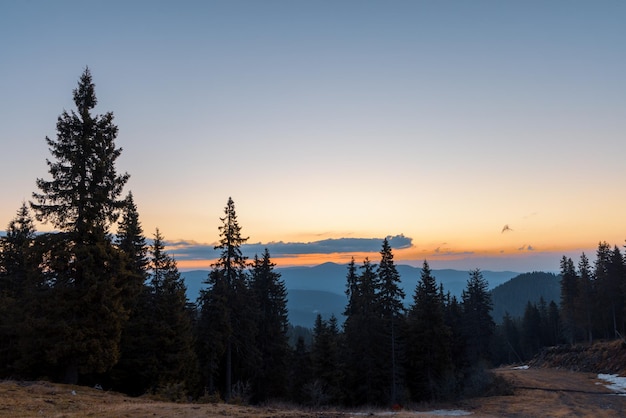 Silhuetas de abetos no vale montanhoso das Montanhas Rhodope no contexto de um céu pôr do sol