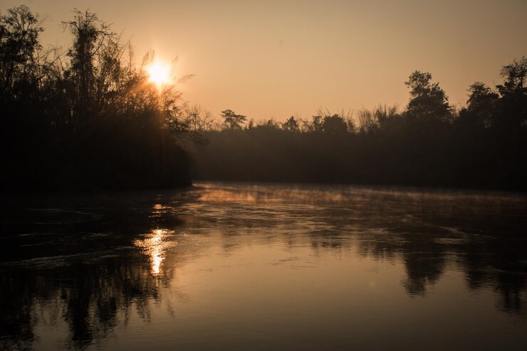 Foto silhuetas de árvores ao lado do lago contra o céu durante o pôr do sol