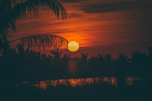 Foto silhuetas de árvores ao lado do lago contra o céu romântico ao pôr-do-sol