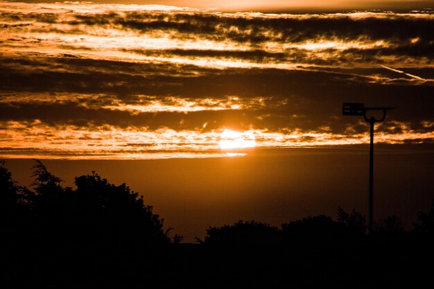 Foto silhuetas de árvores ao pôr-do-sol