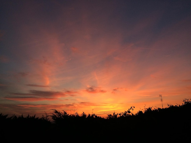 Silhuetas de árvores contra o céu durante o pôr-do-sol