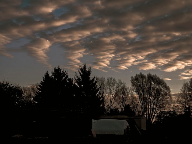 Foto silhuetas de árvores contra o céu durante o pôr-do-sol