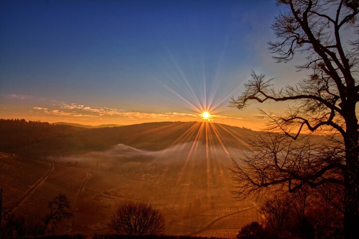 Foto silhuetas de árvores contra o céu durante o pôr-do-sol