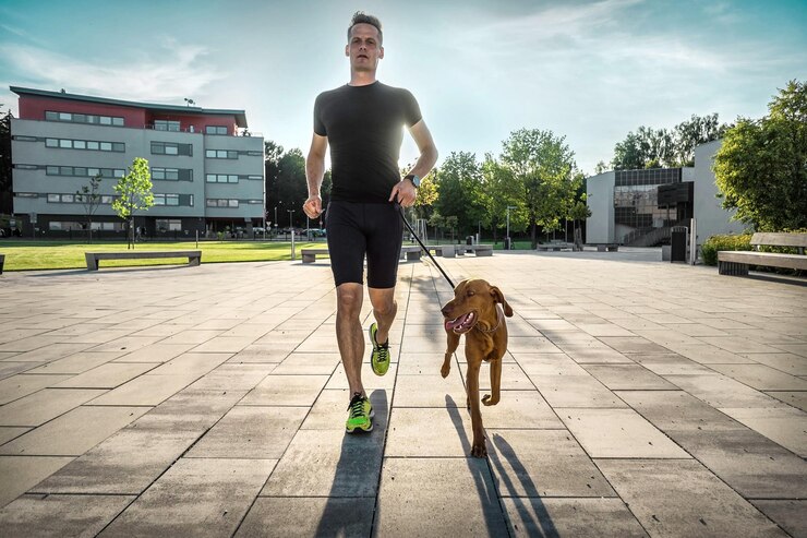 Foto silhuetas de corredor e cão na rua da cidade sob o céu do nascer do sol na manhã caminhando ao ar livre