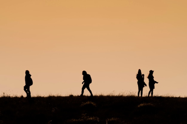 Foto silhuetas, de, hikers, com, mochilas, desfrutando, pôr do sol, vista, de, topo, de, um, montanha