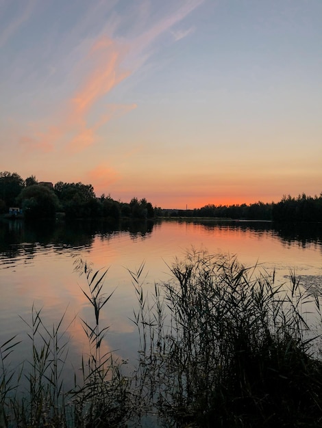 Silhuetas de juncos no lago contra o céu do pôr do sol