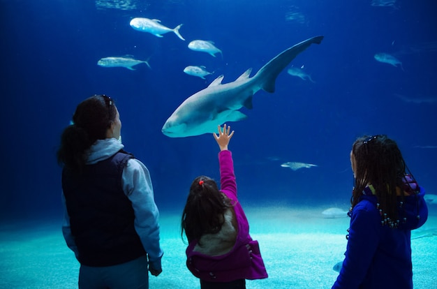 Silhuetas de mãe com filhos no oceanário, família com filhos olhando tubarão e peixes no aquário