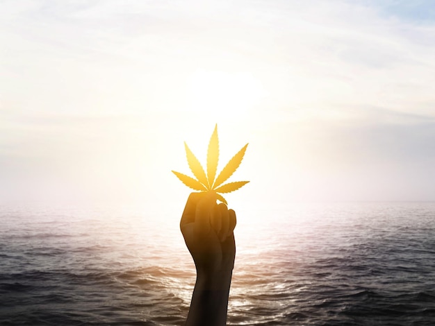 Silhuetas de mão segurando cannabis no céu pôr do sol