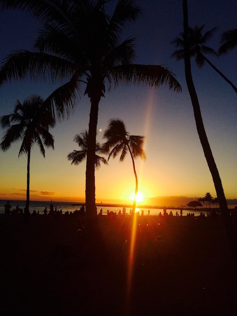 Foto silhuetas de palmeiras na praia contra o céu durante o pôr-do-sol
