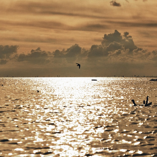 Foto silhuetas de pássaros voando sobre o mar contra o céu
