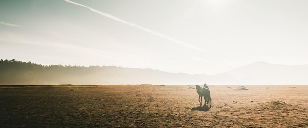 Silhuetas de um homem com seu cavalo no deserto em raios de sol