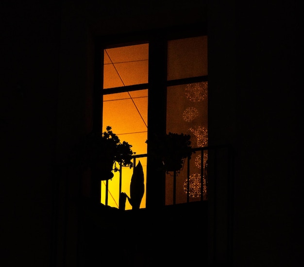 Silhuetas mágicas dentro de uma casa da luz de fundo de sua janela de um edifício