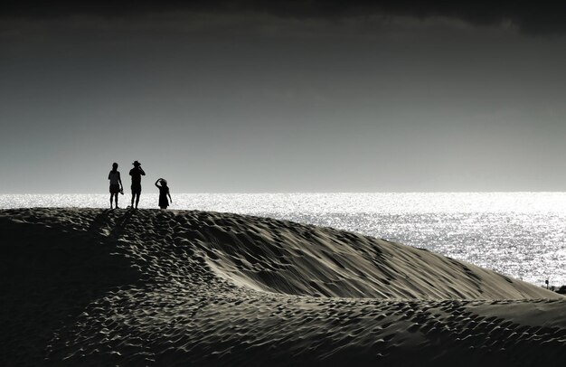 Silhuetas de personas en la playa contra un cielo despejado