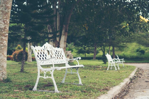 silla blanca en el jardín