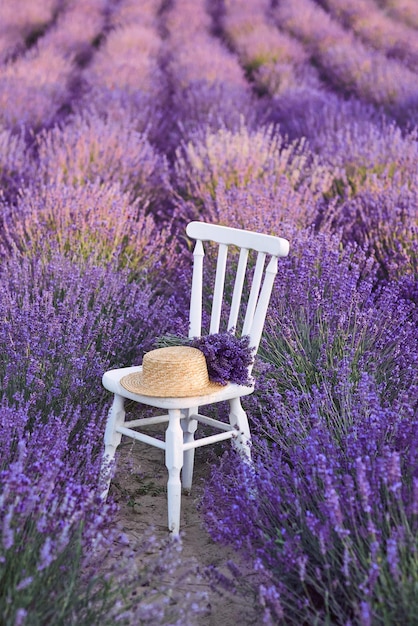 silla blanca con ramo de lavanda y sombrero de paja en la floración de hermosas flores de lavanda.