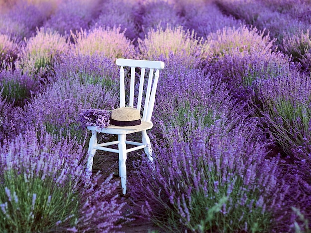 silla blanca con ramo de lavanda y sombrero de paja en la hermosa flor de lavanda.