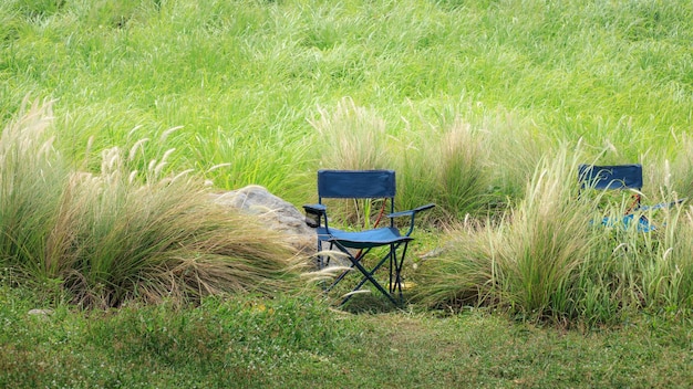 Silla de camping en el campo oculta por la hierba alta