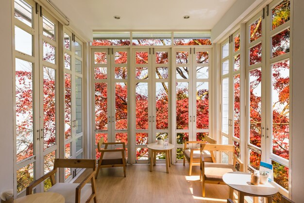 silla en casa con Autumn Forest en el fondo de la ventana