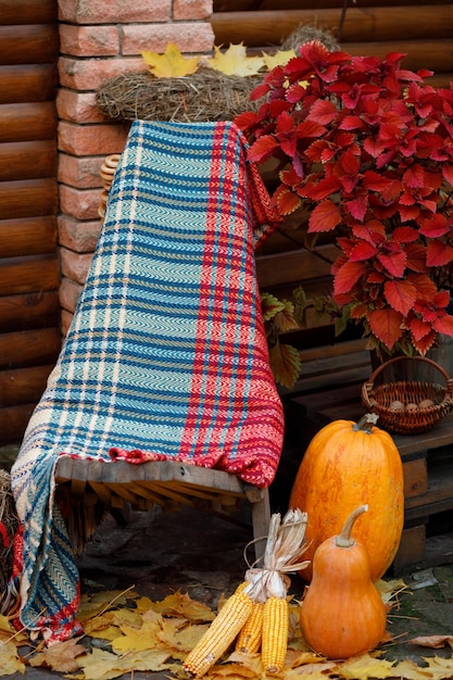 Una silla en el jardín de la casa con calabazas en otoño.