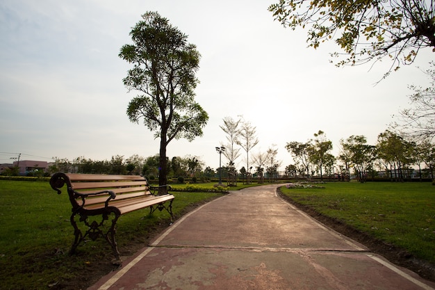 Silla en el jardín.