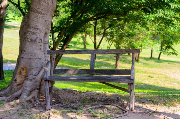 silla de jardín