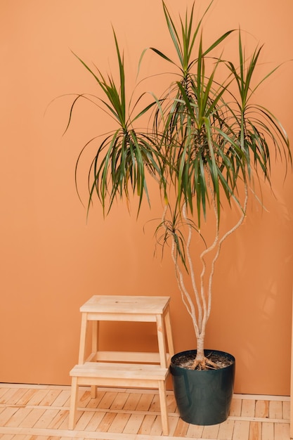 Una silla de madera y un puesto de flores en el suelo cerca de la pared naranja