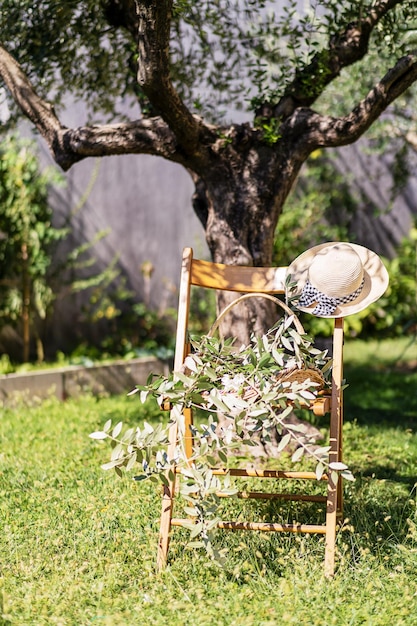 Silla bajo olivo cesta de sombrero con brunches de oliva día soleado