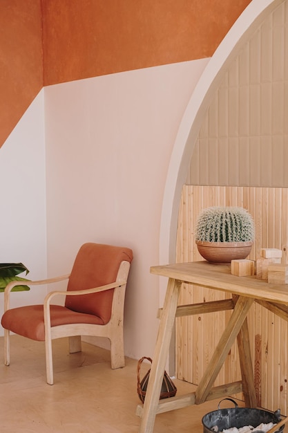 Silla retro de mediados de siglo y planta casera de cactus en maceta de arcilla contra pared blanca y jengibre Concepto de diseño de interiores de sala de estar minimalista de estética moderna