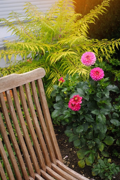 Silla vintage de madera y dalias magenta