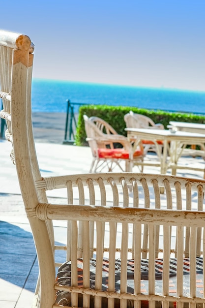 Sillas de mesa maravillosamente elegantes para comer gente en el fondo del mar