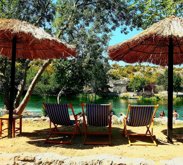 Foto sillas y mesa en la playa contra los árboles