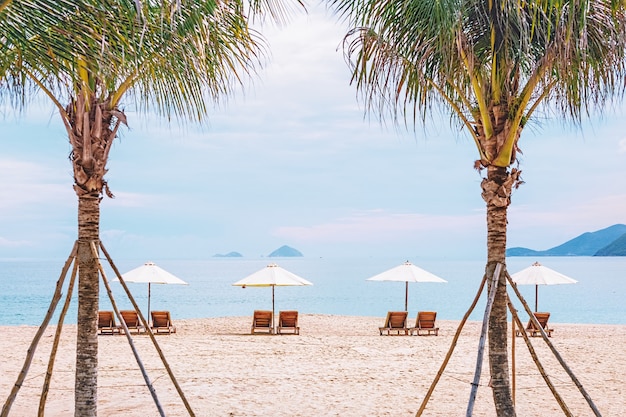 Foto sillas de playa en la playa de arena en el marco de palmeras. foto con desenfoque en movimiento y enfoque suave. vietnam, nha trang.