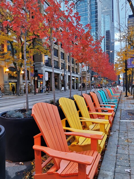 Foto sillas vacías por el sendero en la ciudad durante el otoño