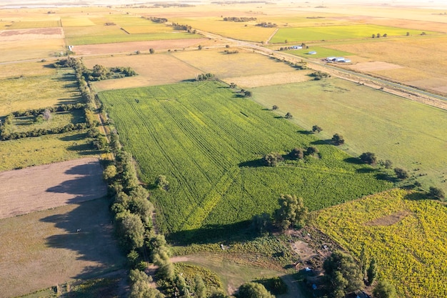 Silo bolsa llena de soja provincia de La Pampa Patagonia Argentina