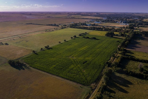 Silo bolsa llena de soja provincia de La Pampa Patagonia Argentina