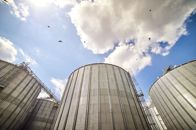 Silo de grãos de elevador de metal na zona agrícola depósito ou depósito de grãos é uma parte importante da colheita de trigo sorn e outras culturas são armazenadas nele