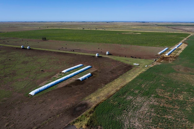 Silobeutel-Getreidelagerung in der argentinischen Pampaslandschaft