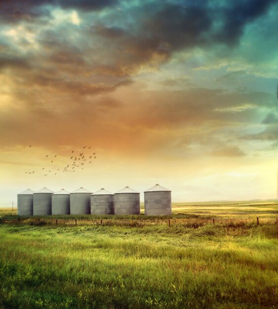 Foto silos de grãos da pradaria no final do verão