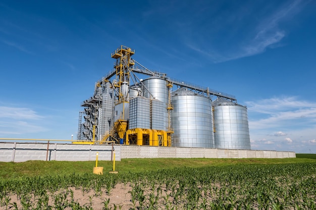 Silos de prata em agroprocessamento e fábrica para processamento de secagem, limpeza e armazenamento de produtos agrícolas farinha de cereais e grãos Elevador de celeiro