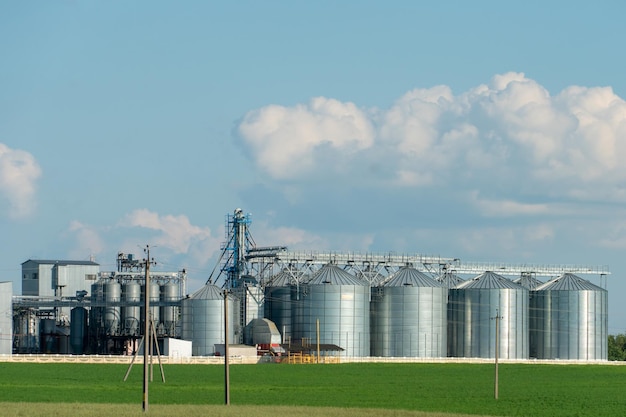 Silos de prata em planta de fabricação agro para processamento de secagem, limpeza e armazenamento de produtos agrícolas farinha de cereais e grãos Grandes barris de ferro de grãos Elevador de celeiro