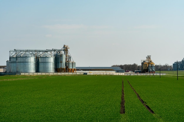 Silos de prata em planta de fabricação agro para processamento de secagem, limpeza e armazenamento de produtos agrícolas farinha de cereais e grãos Grandes barris de ferro de grãos Elevador de celeiro