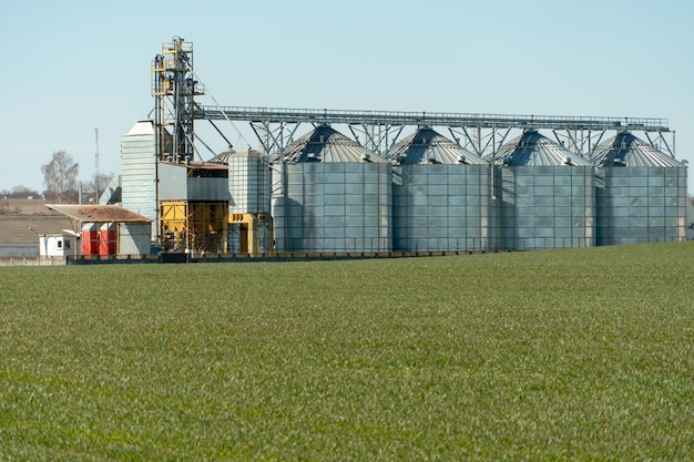 Silos de prata em planta de fabricação agro para processamento de secagem, limpeza e armazenamento de produtos agrícolas farinha de cereais e grãos Grandes barris de ferro de grãos Elevador de celeiro