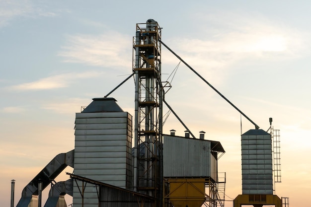 Silos de prata em planta de fabricação agro para processamento de secagem, limpeza e armazenamento de produtos agrícolas farinha de cereais e grãos Grandes barris de ferro de grãos Elevador de celeiro