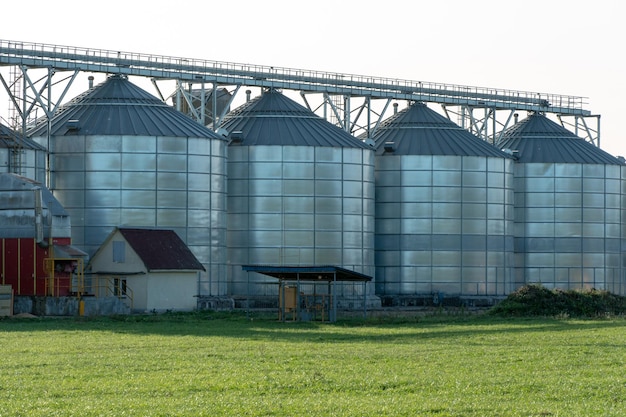 Silos de prata em planta de fabricação agro para processamento de secagem, limpeza e armazenamento de produtos agrícolas farinha de cereais e grãos Grandes barris de ferro de grãos Elevador de celeiro