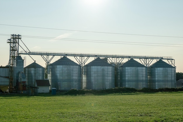 Silos de prata em planta de fabricação agro para processamento de secagem, limpeza e armazenamento de produtos agrícolas farinha de cereais e grãos Grandes barris de ferro de grãos Elevador de celeiro